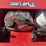 #34-•-remote-controlled-gas-lawn-mower---ft-800-image-6