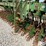 john-deere-400-image-16