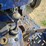 leyland-344-image-32