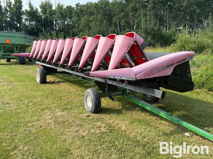 2005-massey-ferguson-3000-image-1