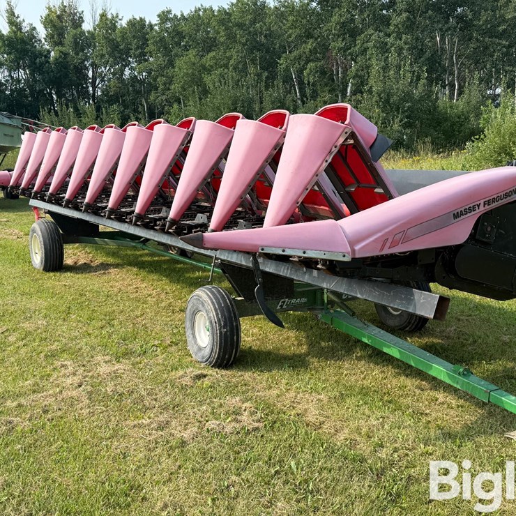 2005 MASSEY-FERGUSON 3000