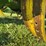 john-deere-bo-image-16