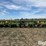 john-deere-1710-image-2