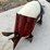 #144-•-metal-art---large-texas-armadillo-image-1