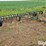 john-deere-f100h-image-3