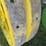 john-deere-d-image-17