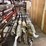 2-x-1-1/4-x-12-x-2-x-1,-60p.a.-ring,-nicarb-bbl,-ss-trim-rod-image-2
