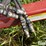 wil-rich-quad-x-image-10