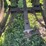 john-deere-40-image-65