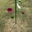 #125-•-metal-art---parrot-on-stand-w/pink-flowers-image-3