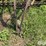 new-holland-55-image-19