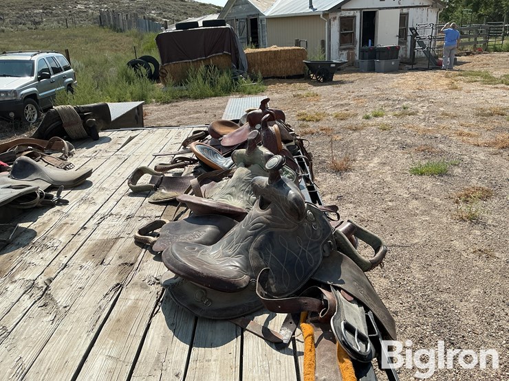 horse-riding-saddles-image-4