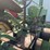 john-deere-a-image-26