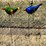 #114-•-metal-art---(2)-in-gound-blue-&-green-birds-image-1