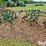 john-deere-at40-image-5
