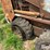 bobcat-743b-image-19