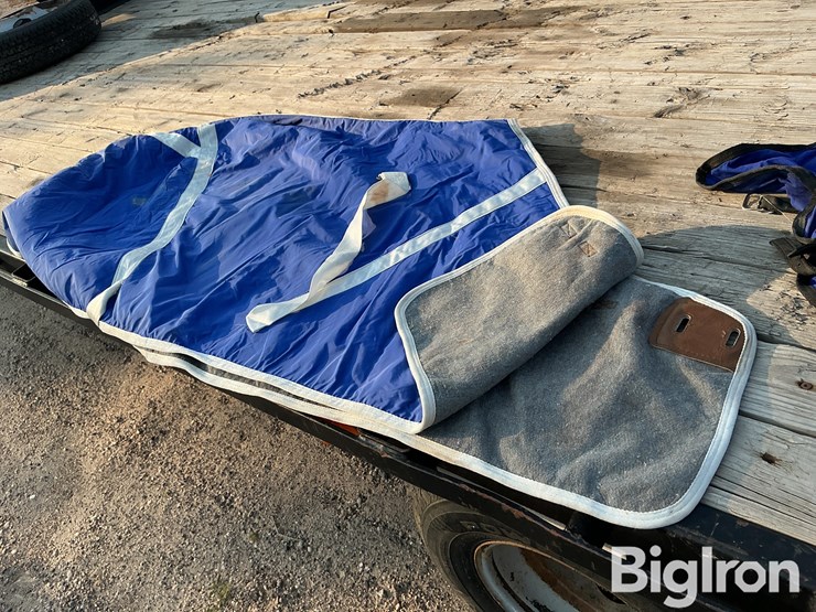 horse-turnout/stable-blankets-image-10