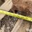 case-ih-3-image-9