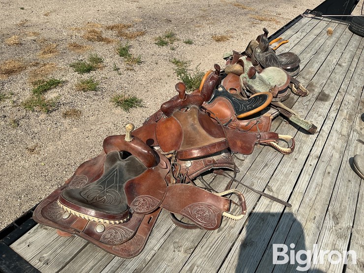 horse-riding-saddles-image-7