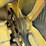 john-deere-li-image-24