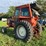 allis-chalmers-200-image-3