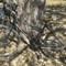 equipment-&-auto-consignment-auction---ring-1-image-6