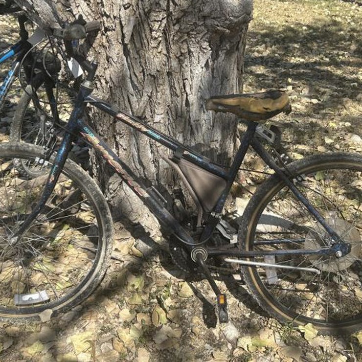 #91 • Huffy USA America Bike
