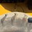 2015-caterpillar-924k-image-9