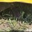 john-deere-317-image-18