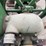 john-deere-6-image-18