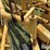 vermeer-r23-image-15