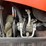 kubota-m125x-image-21
