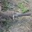 john-deere-b-image-5