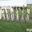 stainless-steel-tube-feeders-image-12