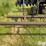 m&w-2200-image-20