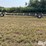 2012-bbk-30-image-8