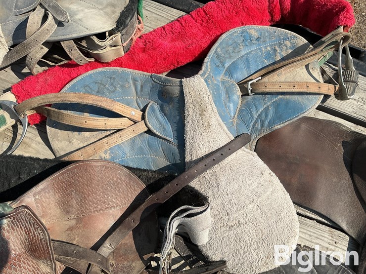 race-horse-training-saddles-image-13
