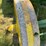 john-deere-d-image-19
