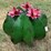 #124-•-metal-art---medium-cactus-w/pink-flowers-image-1