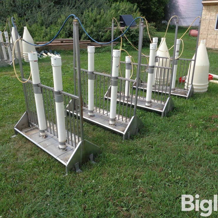 Stainless Steel Tube Feeders