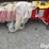 2026-massey-ferguson-730-image-13
