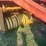 new-holland-845-image-2