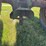 john-deere-g-image-32