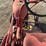 international-cub-image-18
