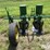 john-deere-71-image-2