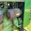 john-deere-m-image-26
