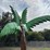 #166-•-metal-art---palm-tree---approx:-6ft-image-2