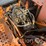 doosan-dx225-lc-image-12