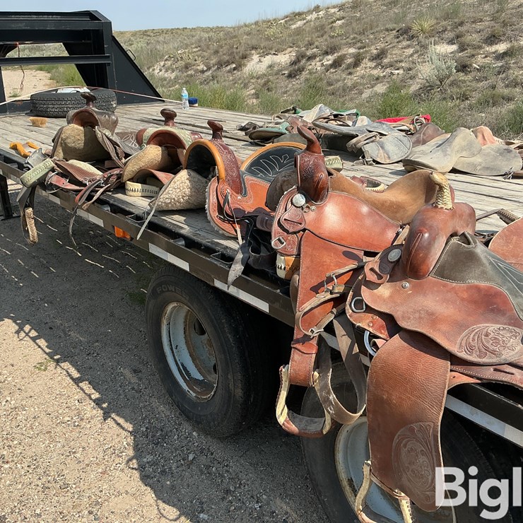 Horse Riding Saddles