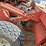 hesston-6450-image-16